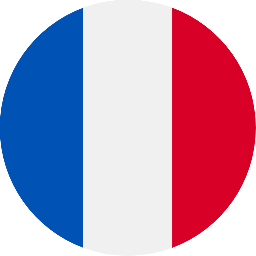 France Flag